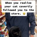 장보러마트 이미지