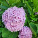 좌1동우체국 이미지