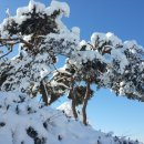 갈촌농장 이미지