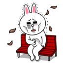 성진농산 :: 슈퍼푸드 아마란스로 밥 해먹기!