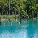 만남의광장 공중화장실 | 삿포로 비에이 투어 버스 예약 겨울 11월 추천 시간 가격 후기 일정