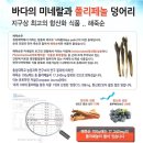 김객주황제오븐구이 | 경북 경산시 삼북동 로컬맛집 내돈내산 대보식육식당 갈려다 현지인 추천 맛도리 1티어 한식당 솥밥...