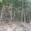 거제시하청면덕곡리보건진료소 이미지