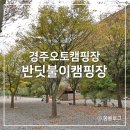 반딧불이 캠핑장 | 반딧불이 오토캠핑장｜아이와 놀러가기 좋은 경주오토캠핑장 반딧불이캠핑장 후기