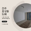 개나리 | 전주호성동도배 진흥더블파크2단지 개나리 로하스 87456-3 후기