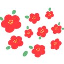 풍무초병설유치원 이미지