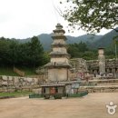 충주호반힐링 티스토리