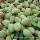 오향골농장 이미지