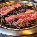 싱싱목장