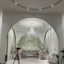 메종스텔라 | W40. 메종드아나하 시식 후기 (25.08.09. 12pm)