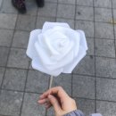 대건셀프랜드 | 침착해. 네가 가야할 곳에만 집중해야 해, 다른 달팽이들은 신경쓰지 말고