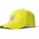 브레인웨어 이미지