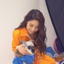 해솔라