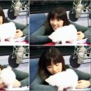 우쭈쭈 내강아지 이미지