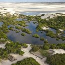 멋지고 매혹적인 브라질 모래언덕 이미지