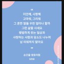 스타플래닛 댓글창에도 더트롯쇼 유튜브에도 댓글자제하면 좋겠어요 이미지