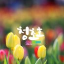 호수공원,중앙공원 이미지