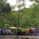참나무숲오토캠핑장 이미지