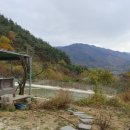 구적골농원 이미지