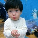 은성장식