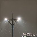 마이준리