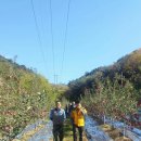 김기수농장 이미지