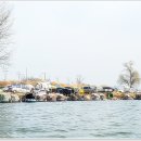 대물낚시 이미지