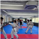신정 태권도장 네이버블로그