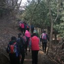 비금초등학교 이미지