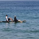 동해관광레저협동조합