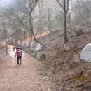 김천-단지봉, 치유의 숲 이미지