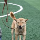 참진축산 이미지