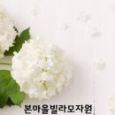 본동행정복지센터 네이버블로그