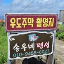 송우펜션 | [제주/숙소] 우도 송우네 펜션