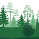 조경기능사 이미지