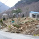 황금농장(2) 이미지