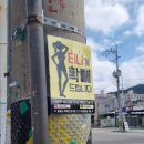 티나핏