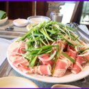 물꽁오리 이미지