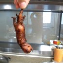 나 도너츠 이미지