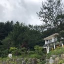 비발디 스케치북 이미지