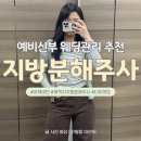 순항 | 허벅지지방분해주사효과와 전후 변화 비교해보는 예비신부관리 순항중인 2회차 후기