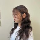 헤어봄 이미지
