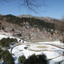 거북찻집 이미지