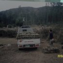 잔디 농장 이미지