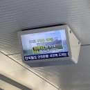 [ 시골쥐의 서울여행기 ]