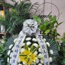 하양삼성의원 이미지