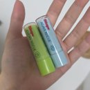 레스큐약국 | 블리스텍스 립밤 후기 올리브영 립밤 추천 아가베 호호바 레스큐 비교