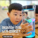 제주영락어린이집 네이버블로그
