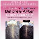 다있데이