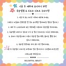 뷰티클리닉 화장하는 여우 | | 천안 불당동 속눈썹펌 | 딜라잇풀뷰티 속눈썹 펌 맛집 후기